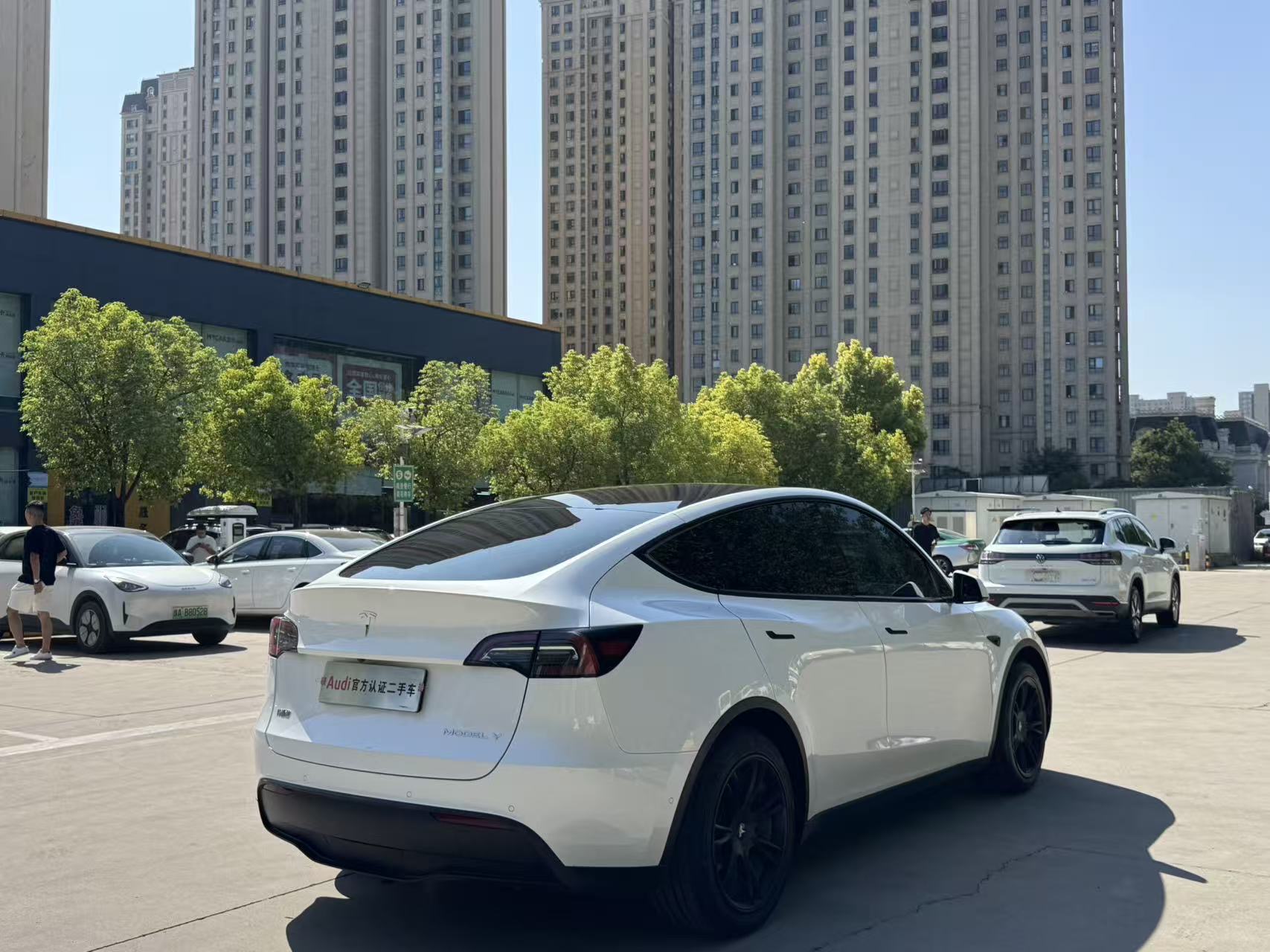 Tesla Model Y 2022 car image #6