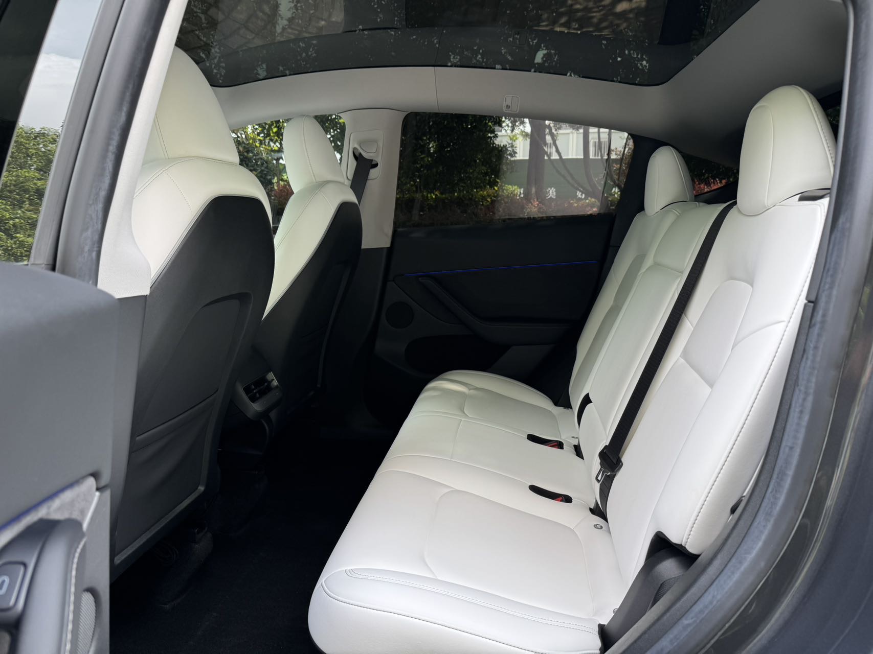 Tesla Model Y 2023 car image #12