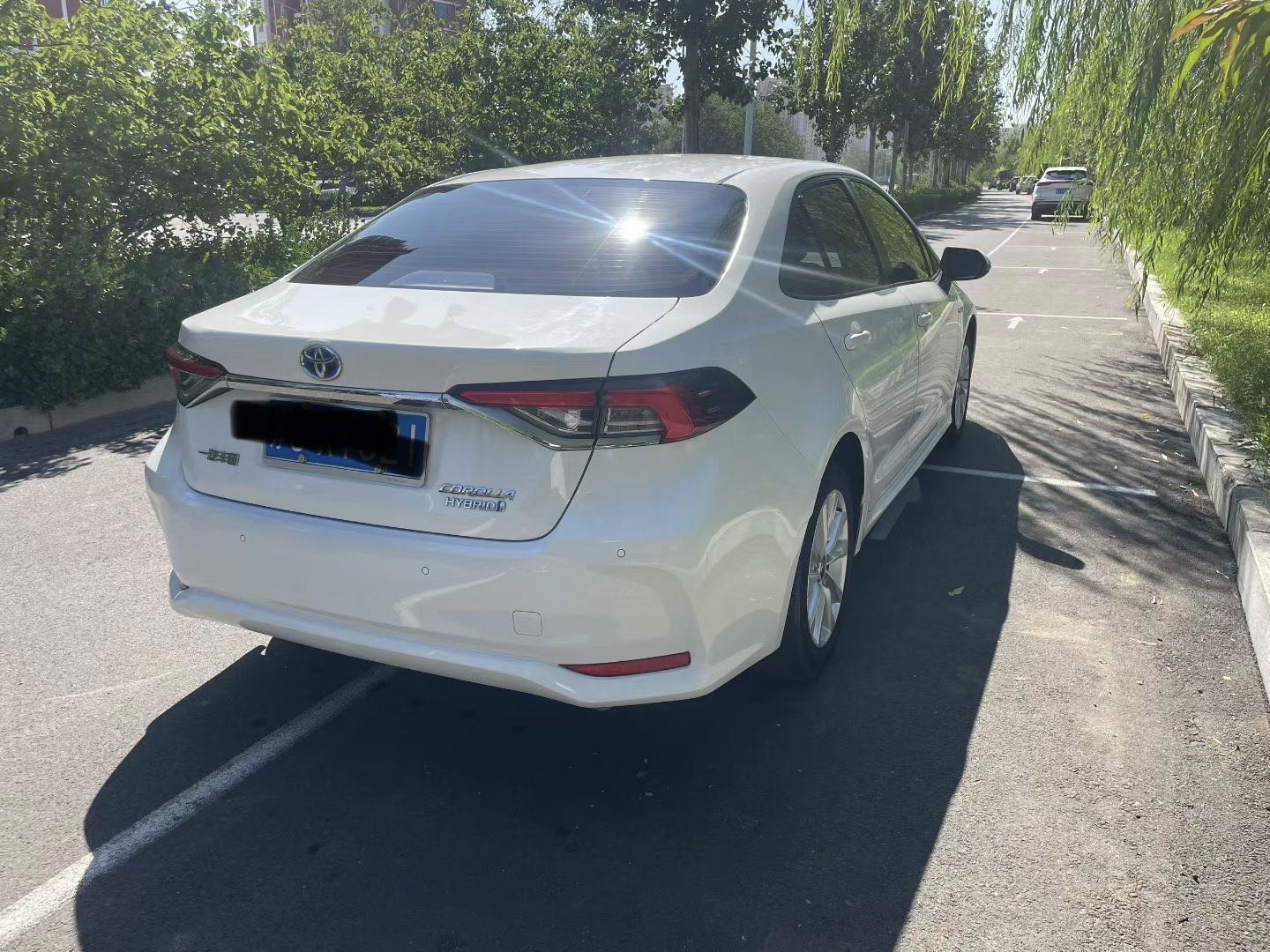 Toyota Corolla 2023 car image #6