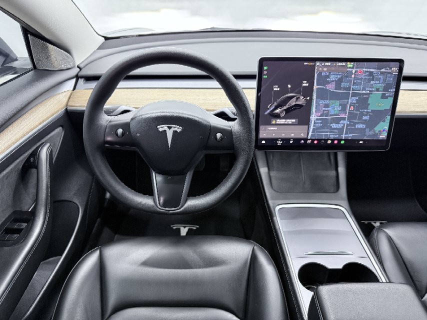 Tesla Model 3 2021 car image #10