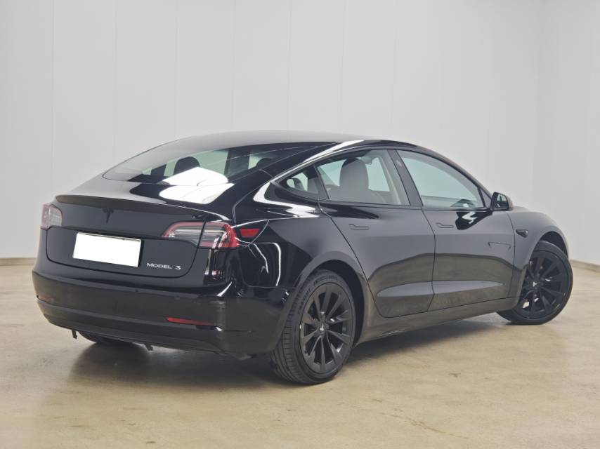 Tesla Model 3 2021 car image #6