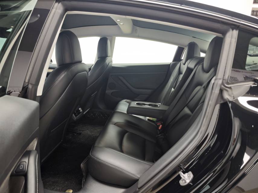 Tesla Model 3 2021 car image #10