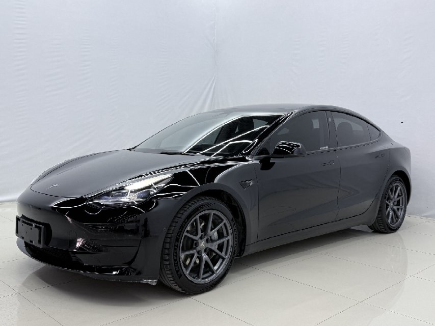 Tesla Model 3 2021 car image #2
