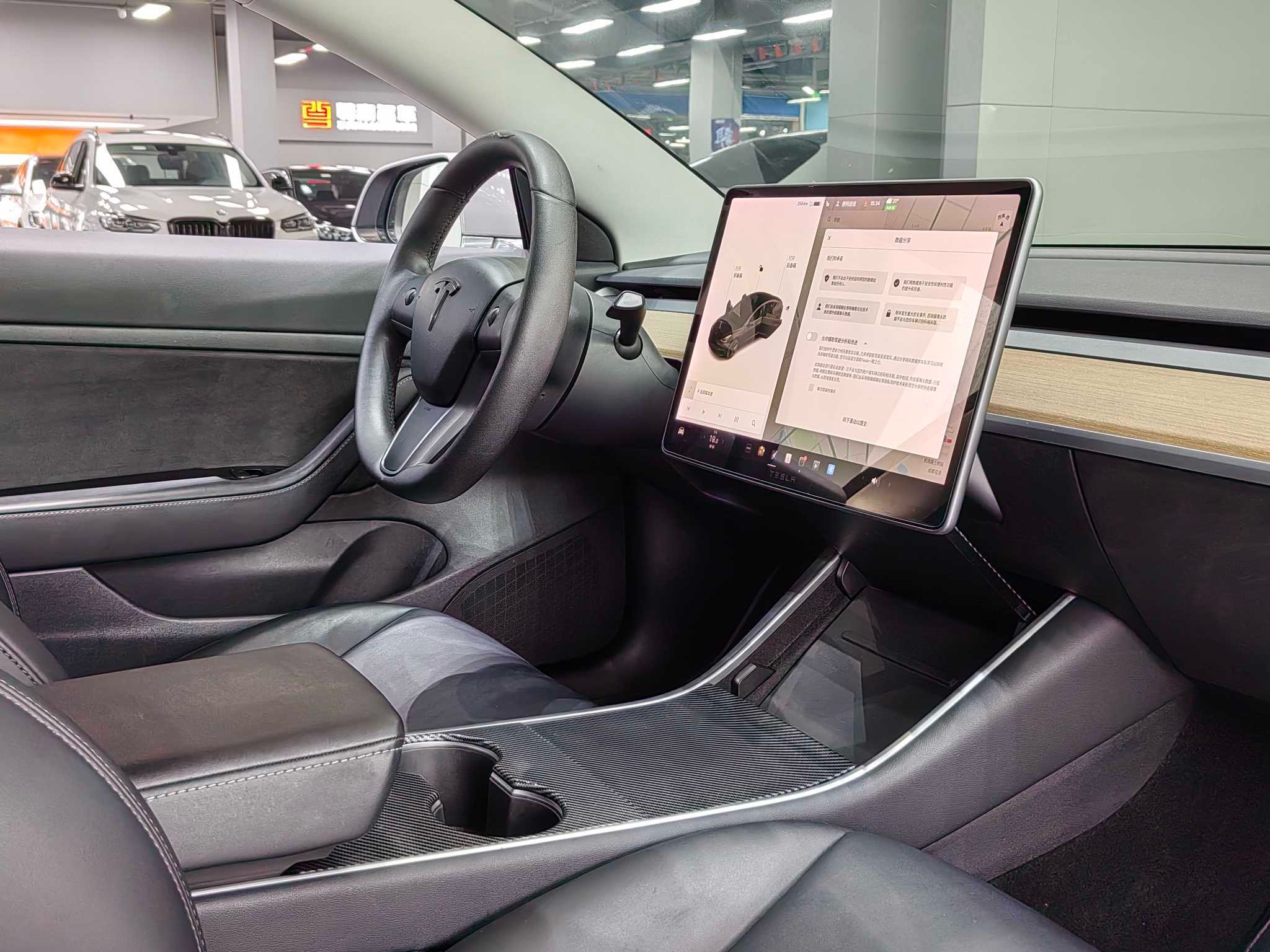 Tesla Model 3 (Imported) 2020 car image #11