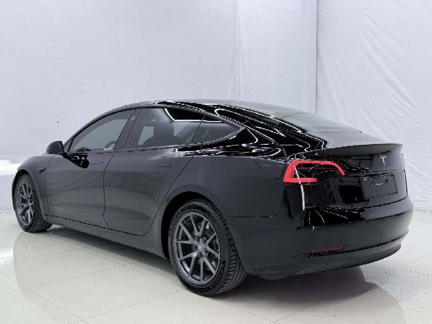 Tesla Model 3 2021 car image #11