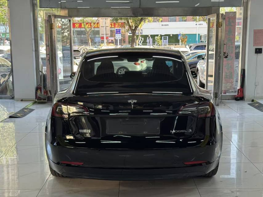 Tesla Model 3 2020 car image #6