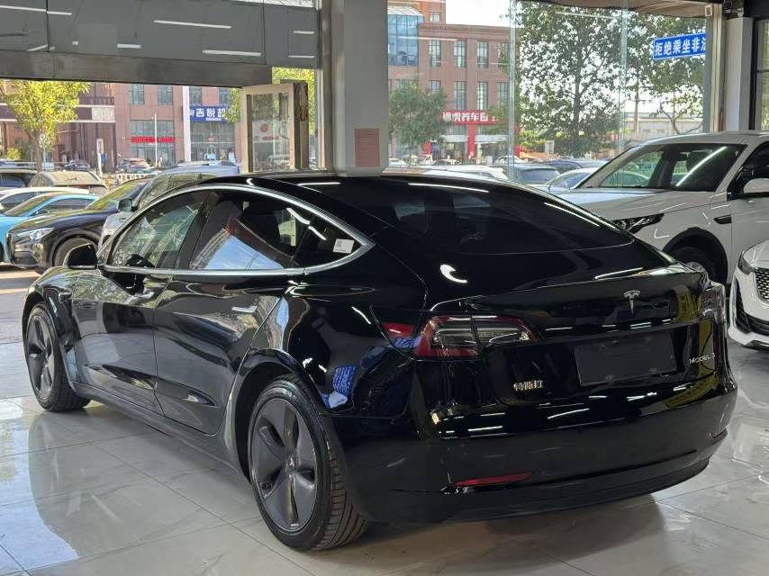 Tesla Model 3 2020 car image #7