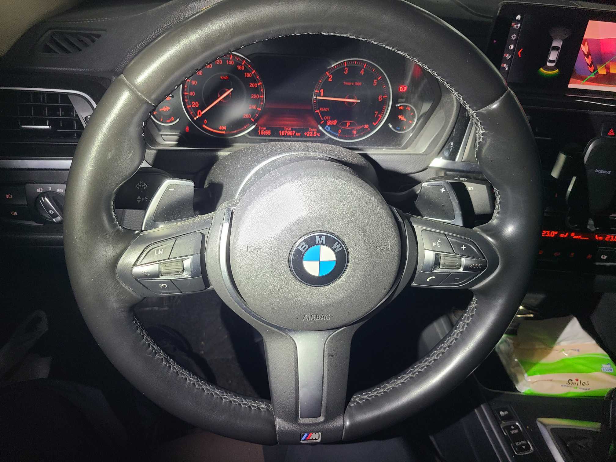 BMW 3 Series 2018 car image #6