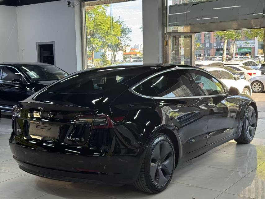 Tesla Model 3 2020 car image #8