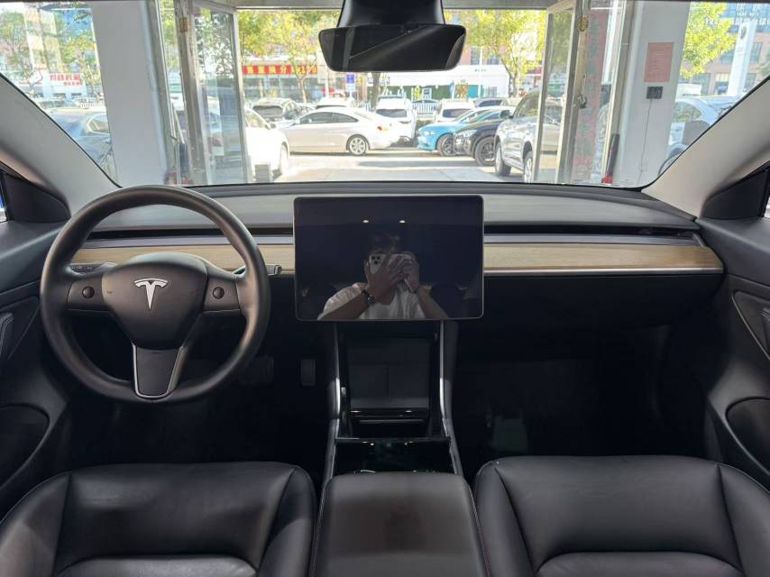 Tesla Model 3 2020 car image #11