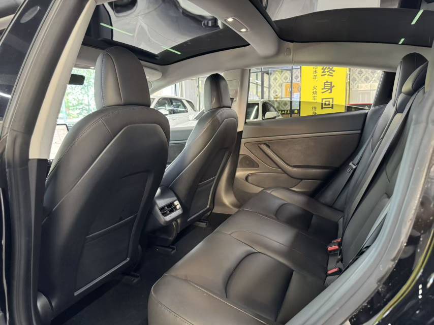 Tesla Model 3 2020 car image #10