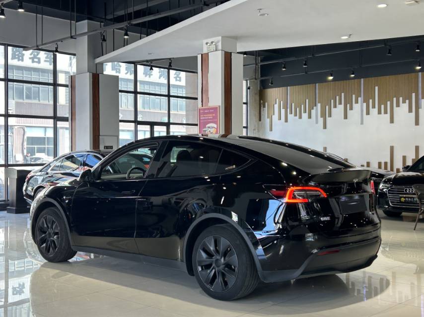 Tesla Model Y 2023 car image #11