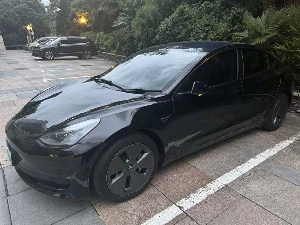 Tesla Model 3 2023 Tesla Model 3 2023 imagen de coche