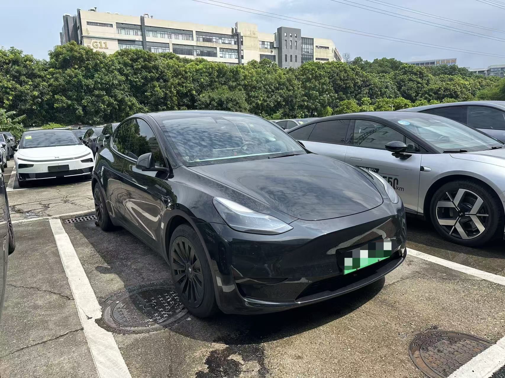 Tesla Model Y 2023 #4 Tesla Model Y 2023 car image #4