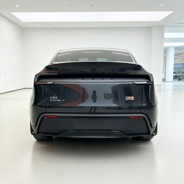 Tesla Model Y 2025 #10 Tesla Model Y 2025 car image #10