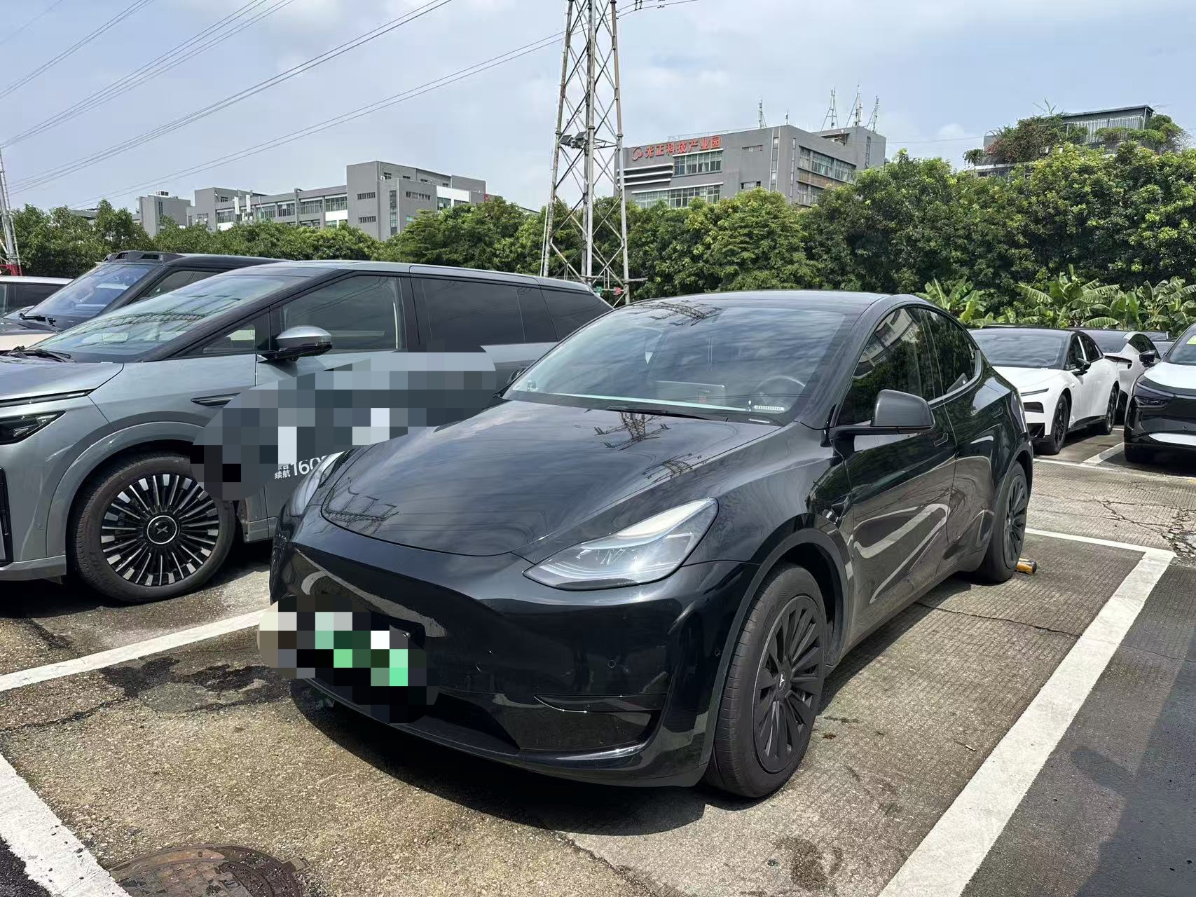 Tesla Model Y 2023 #2 Tesla Model Y 2023 car image #2