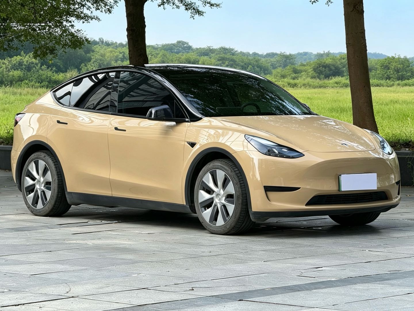 Tesla Model Y 2023 #5 Tesla Model Y 2023 car image #5