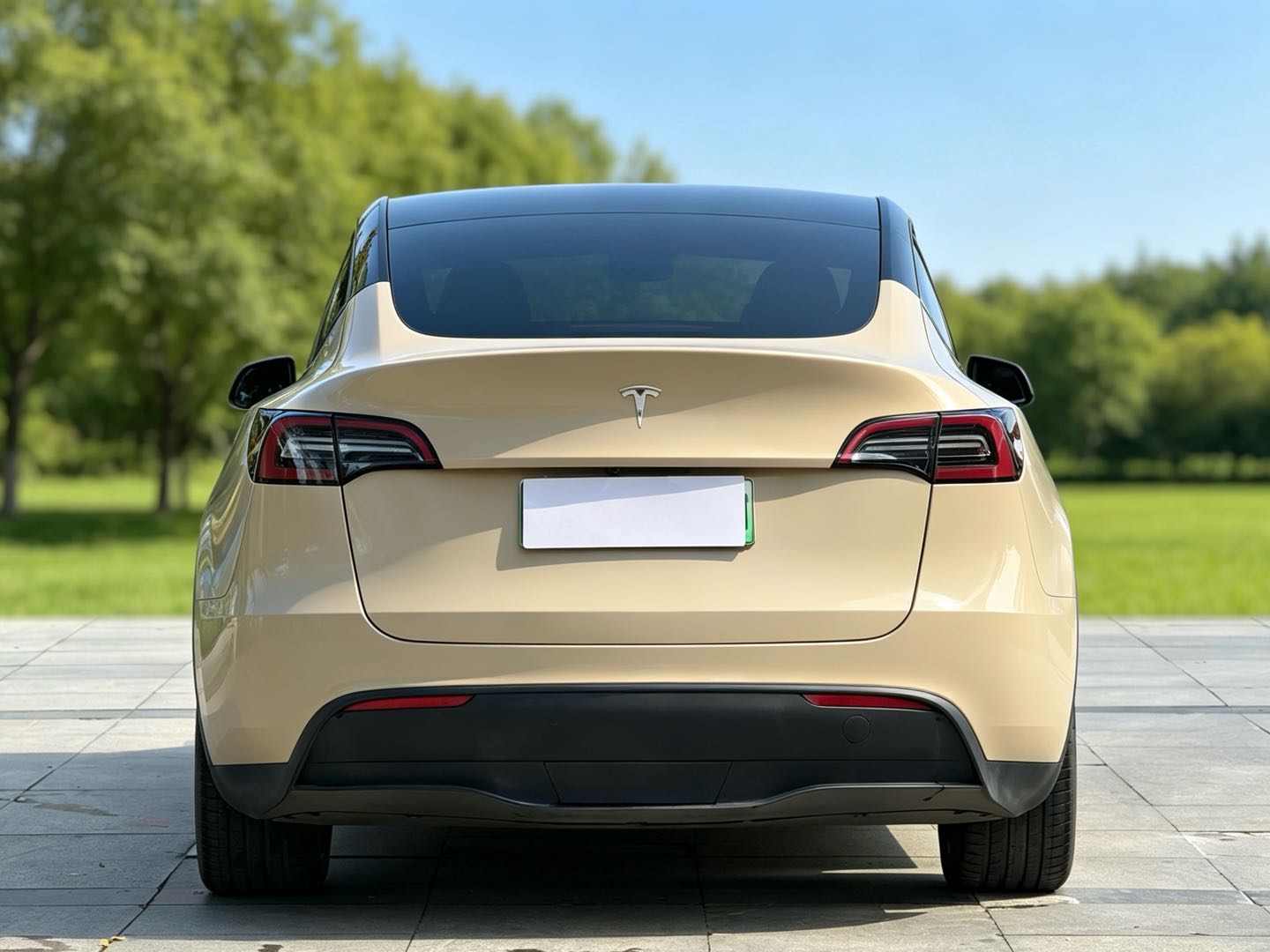 Tesla Model Y 2023 #6 Tesla Model Y 2023 car image #6