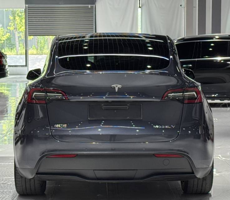 Tesla Model Y 2021 car image #6