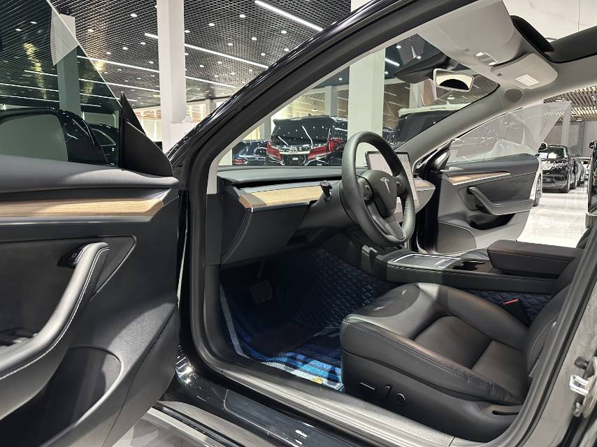 Tesla Model 3 2023 #11 Tesla Model 3 2023 car image #11