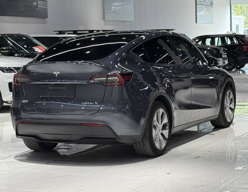 Tesla Model Y 2021 car image #8