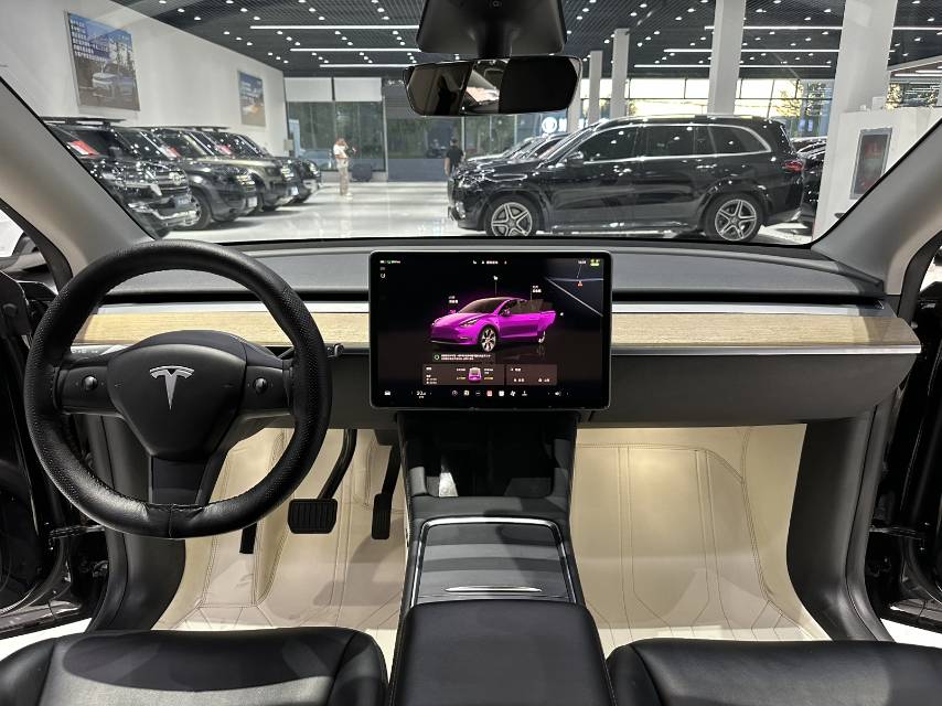 Tesla Model Y 2022 #10 Tesla Model Y 2022 car image #10