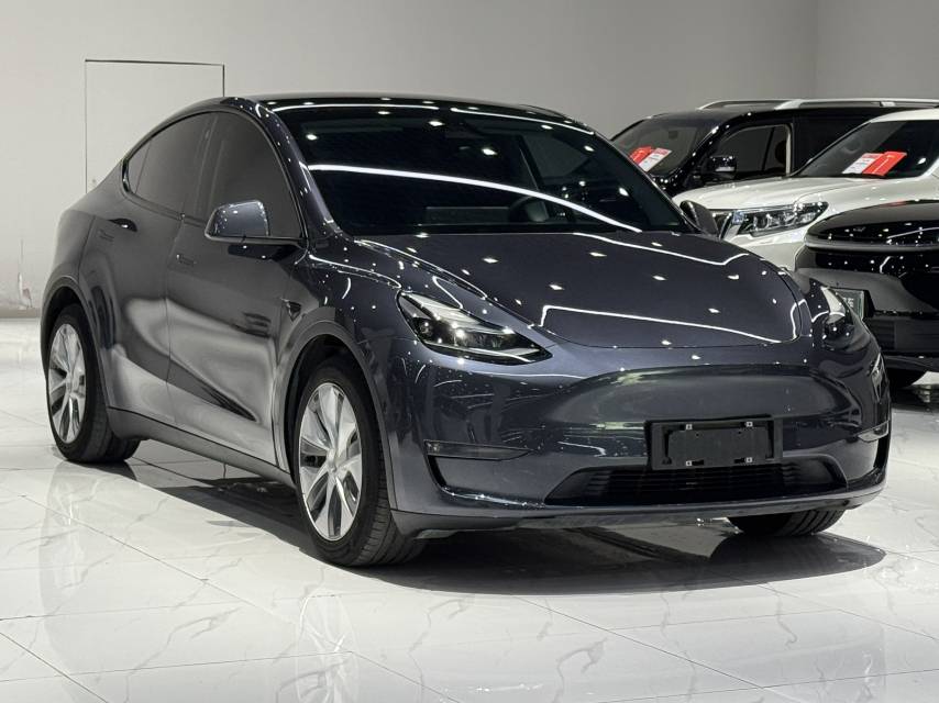 Tesla Model Y 2021 car image #5