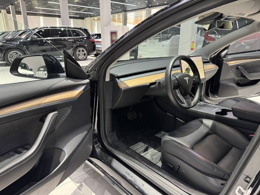 Tesla Model 3 2021 #11 Tesla Model 3 2021 car image #11