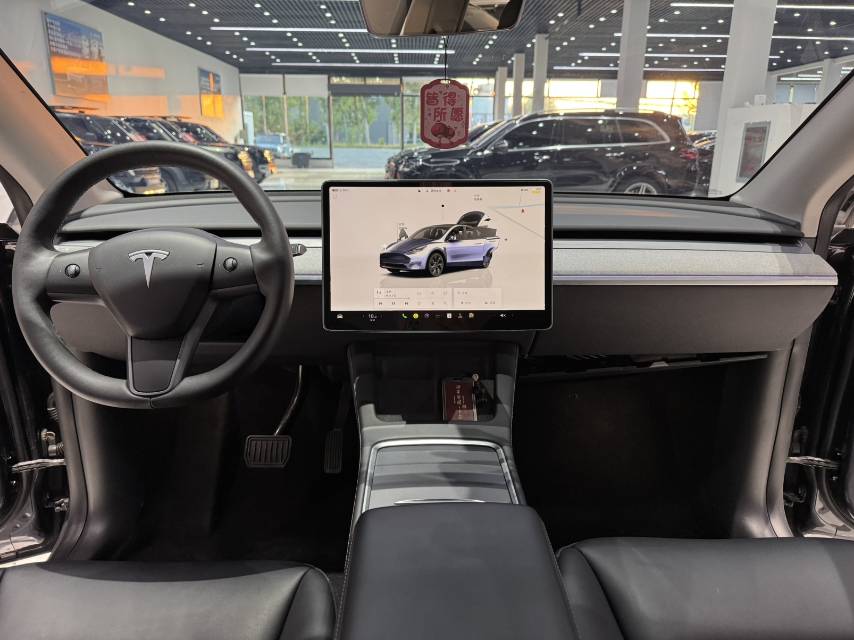 Tesla Model Y 2024 car image #10