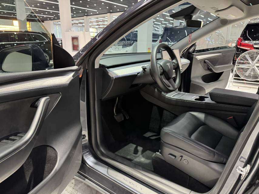 Tesla Model Y 2024 car image #11