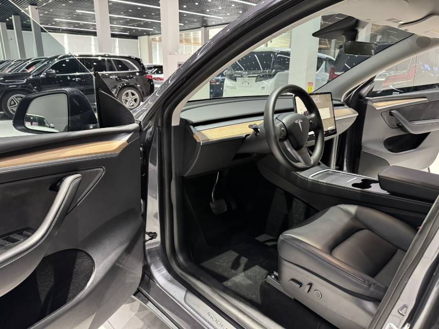 Tesla Model Y 2021 car image #11