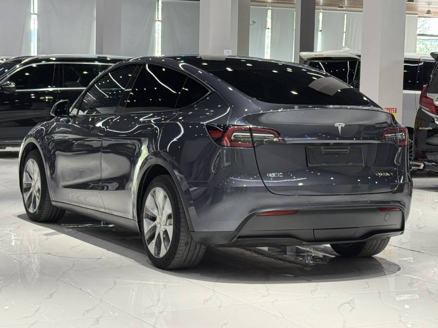 Tesla Model Y 2021 car image #7