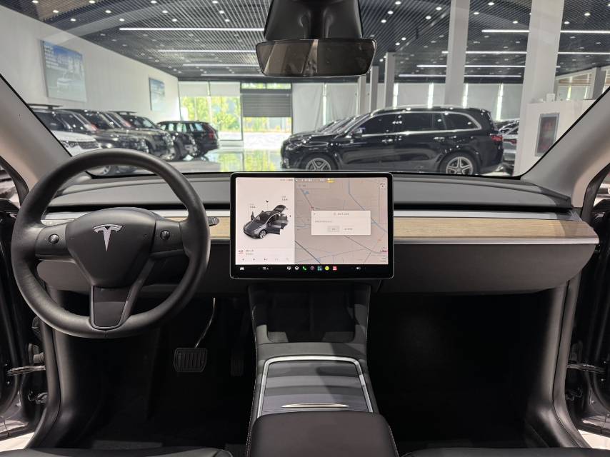Tesla Model Y 2021 car image #10