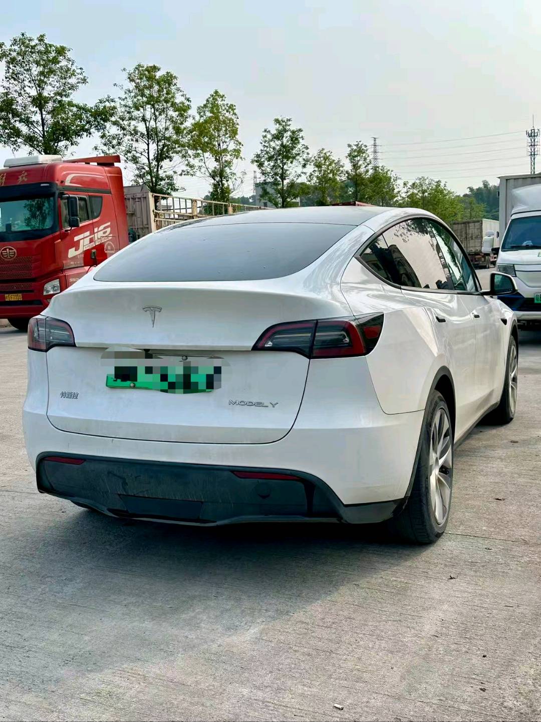 Tesla Model Y 2021 car image #8