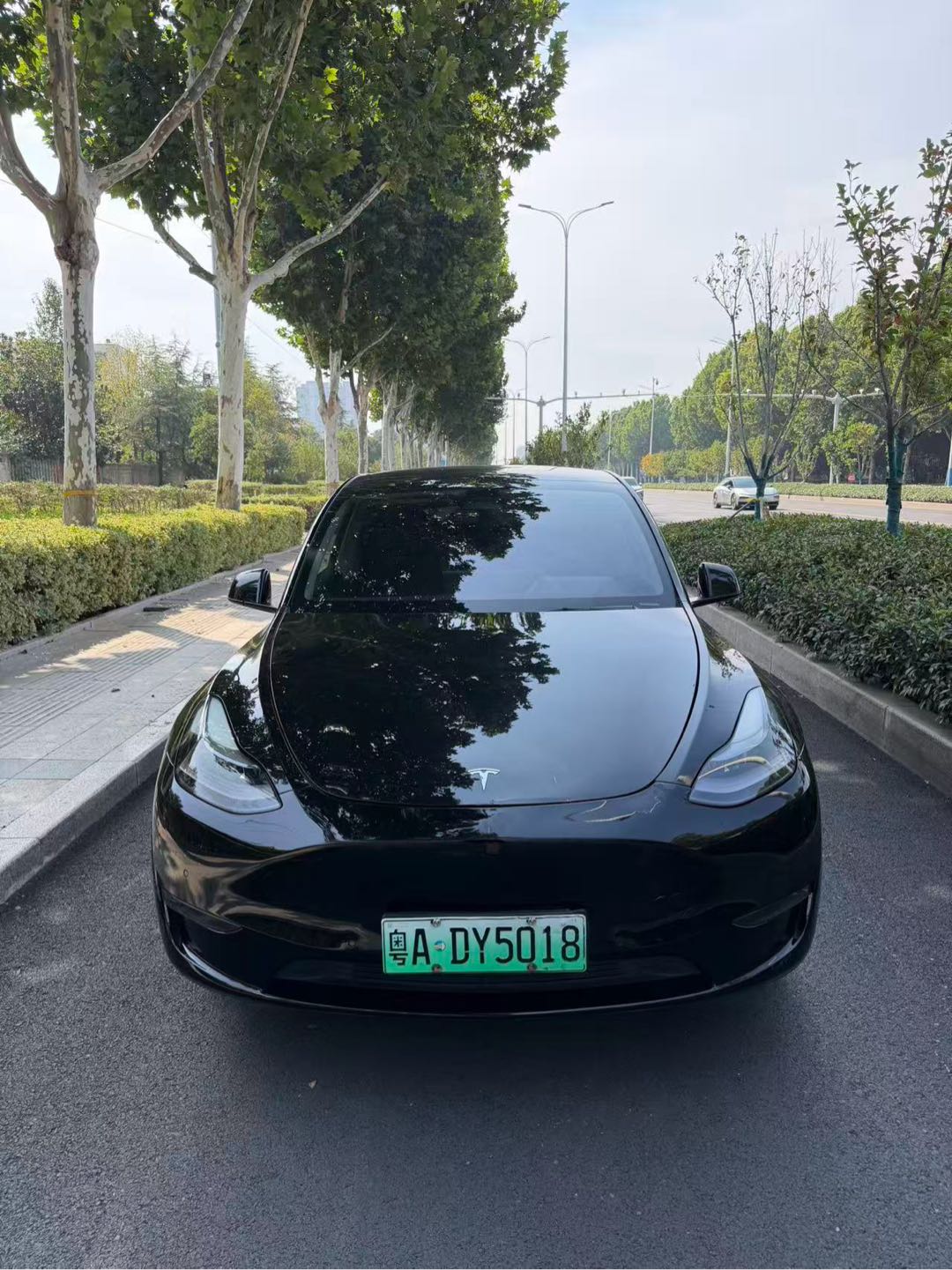 2021 #4 2021 car image #4