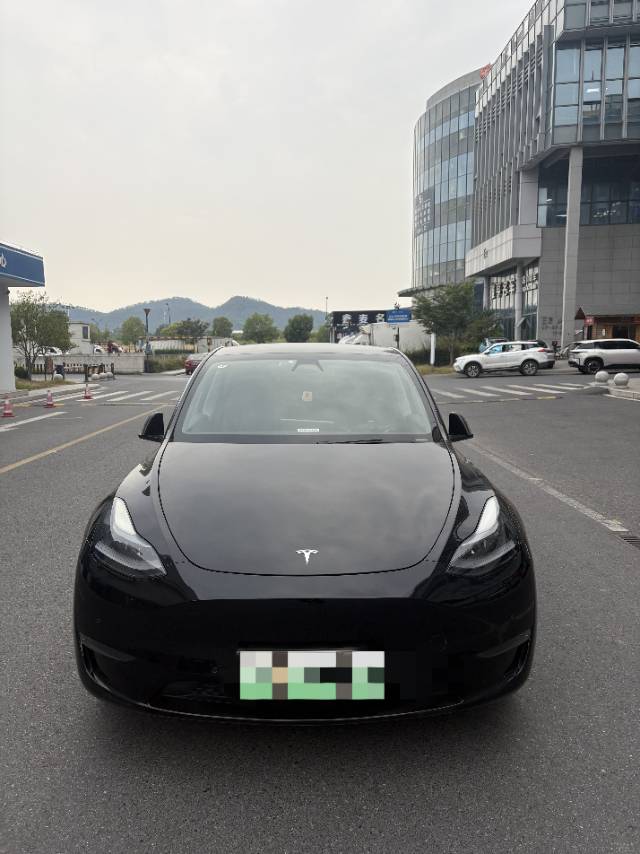 Tesla Model Y 2021 car image #7