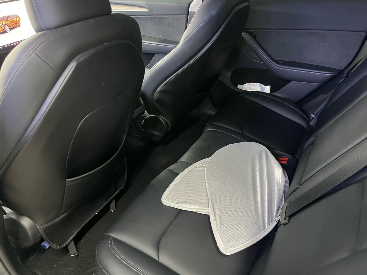 Tesla Model Y 2023 #12 Tesla Model Y 2023 car image #12