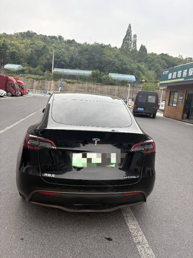 Tesla Model Y 2021 car image #4