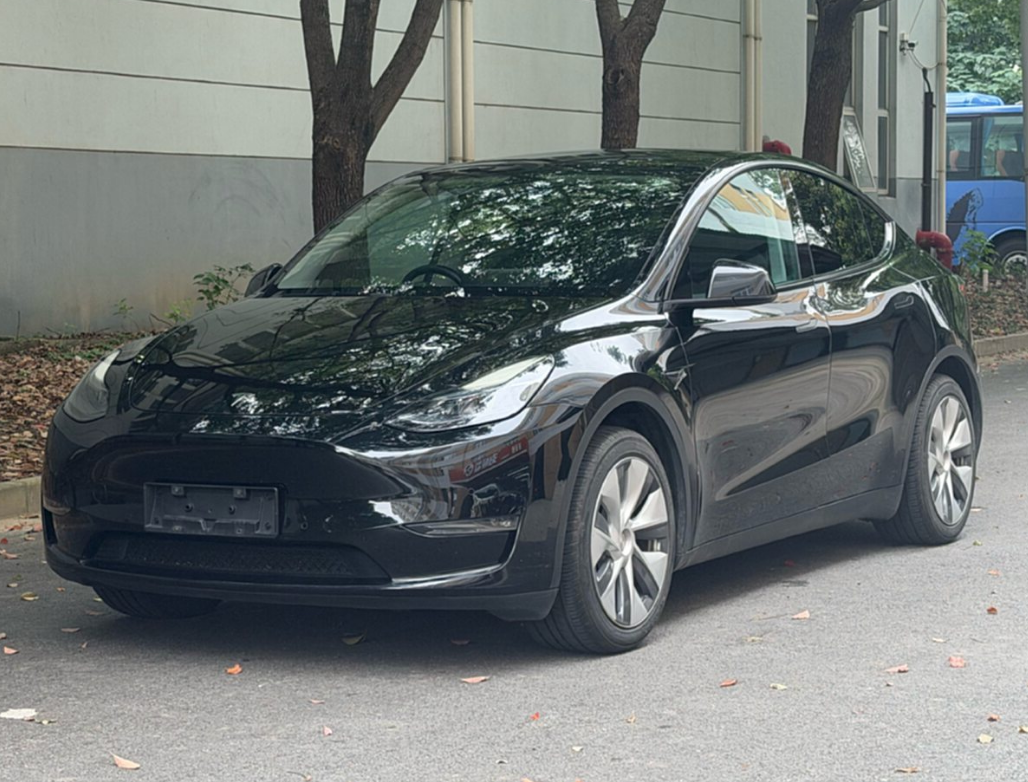 Tesla Model Y 2023 car image 