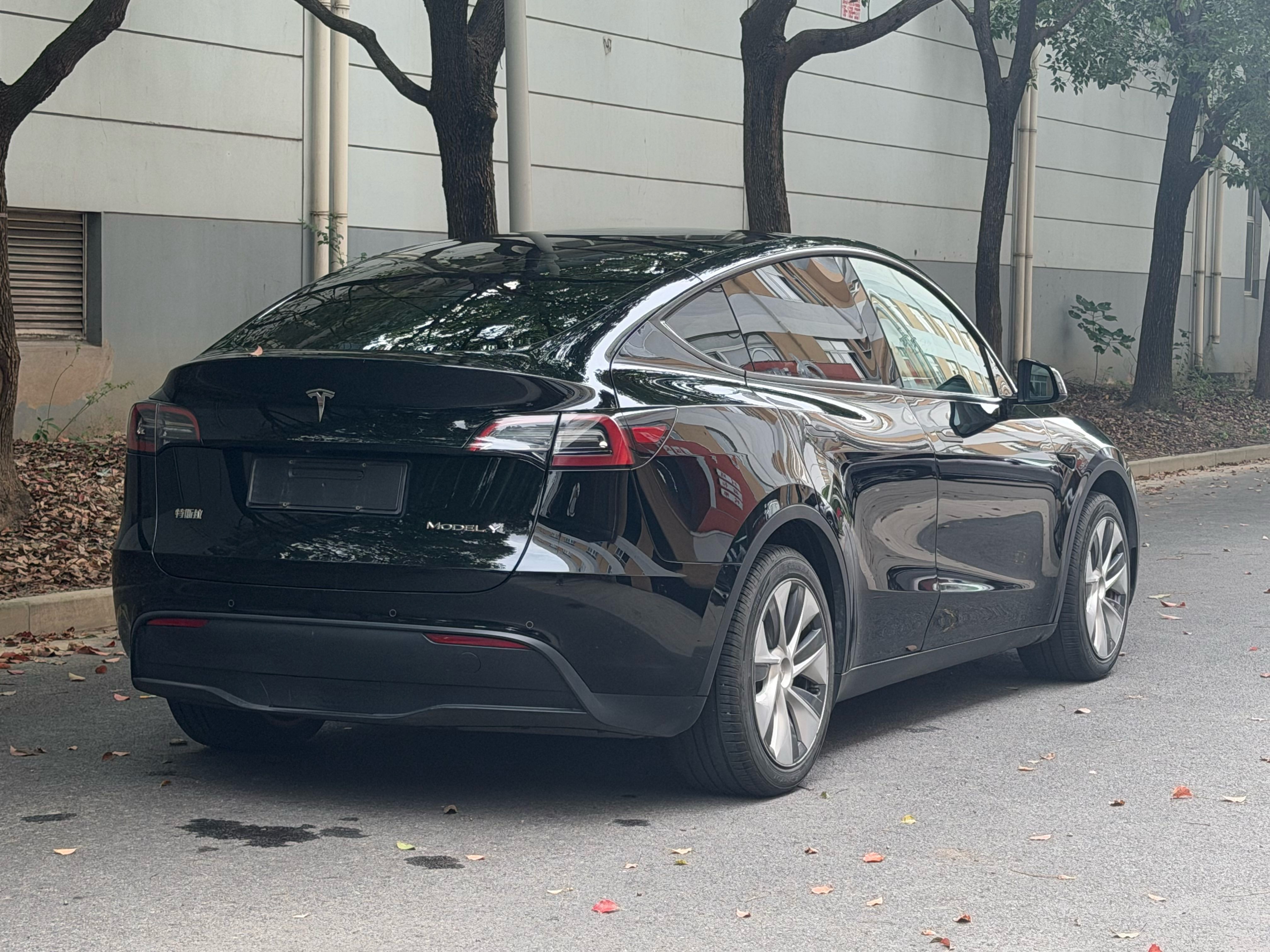 Tesla Model Y 2023 car image #8