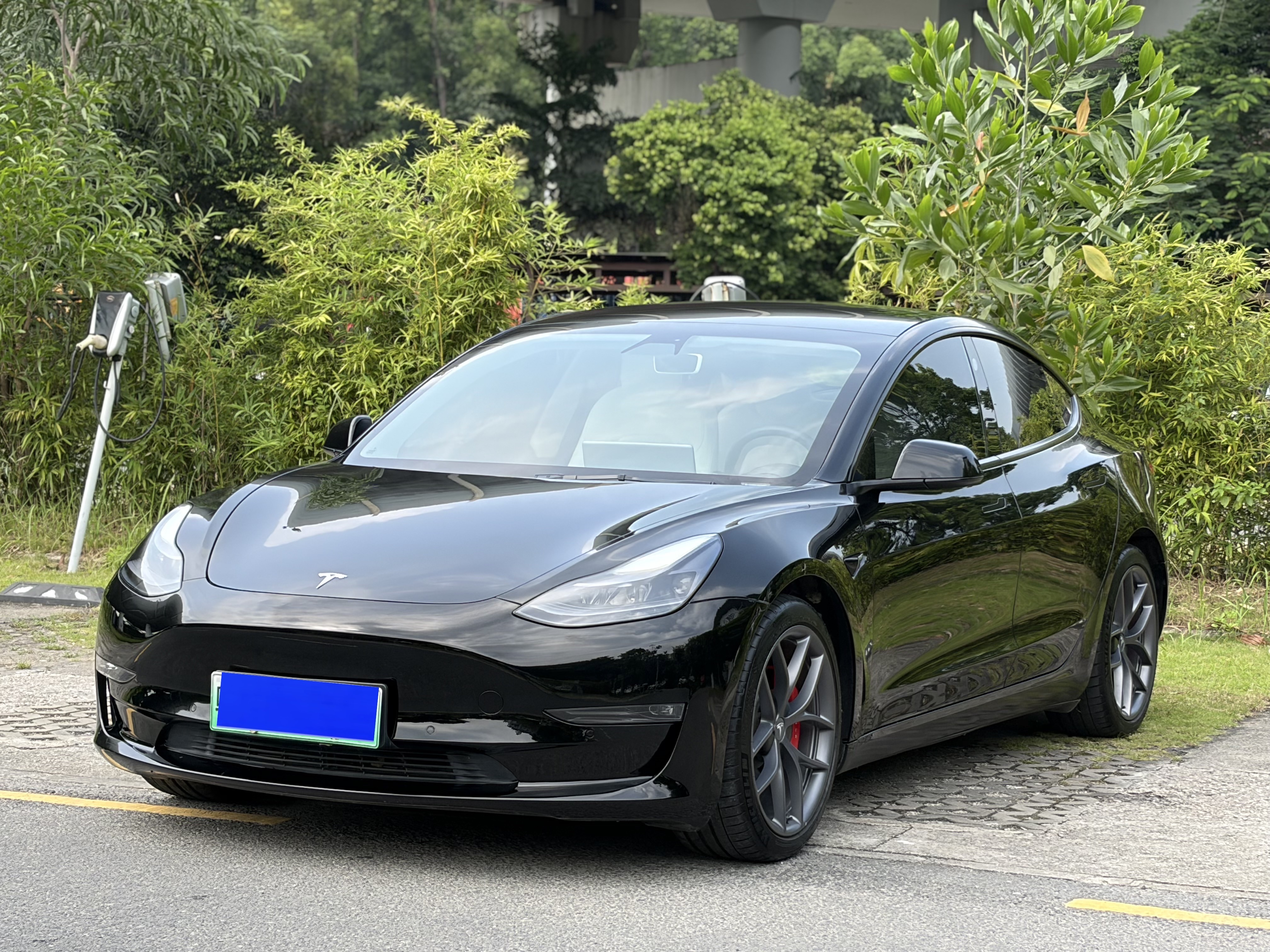 Tesla Model 3 2021 #2 Tesla Model 3 2021 car image #2