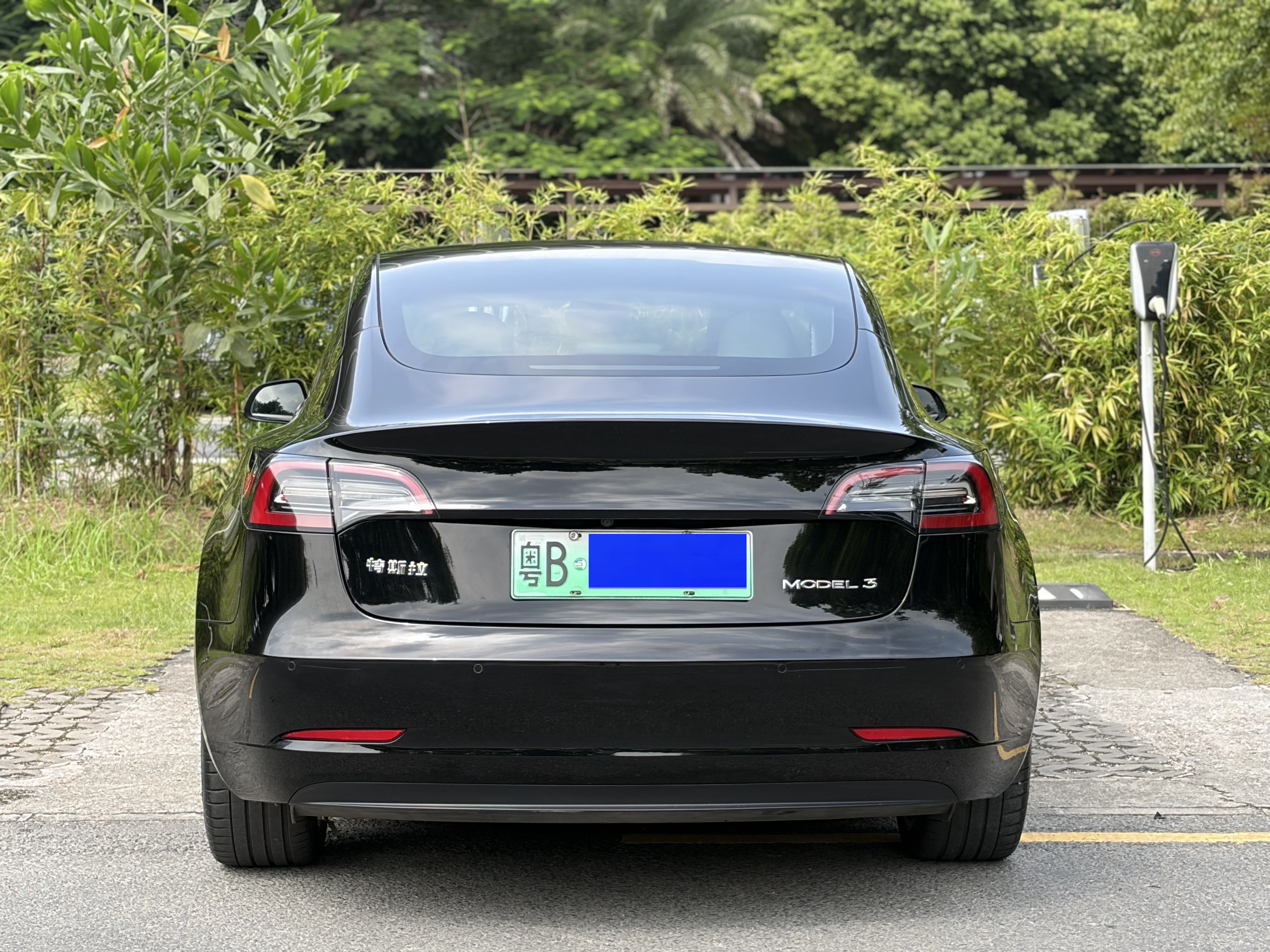 Tesla Model 3 2021 #10 Tesla Model 3 2021 car image #10