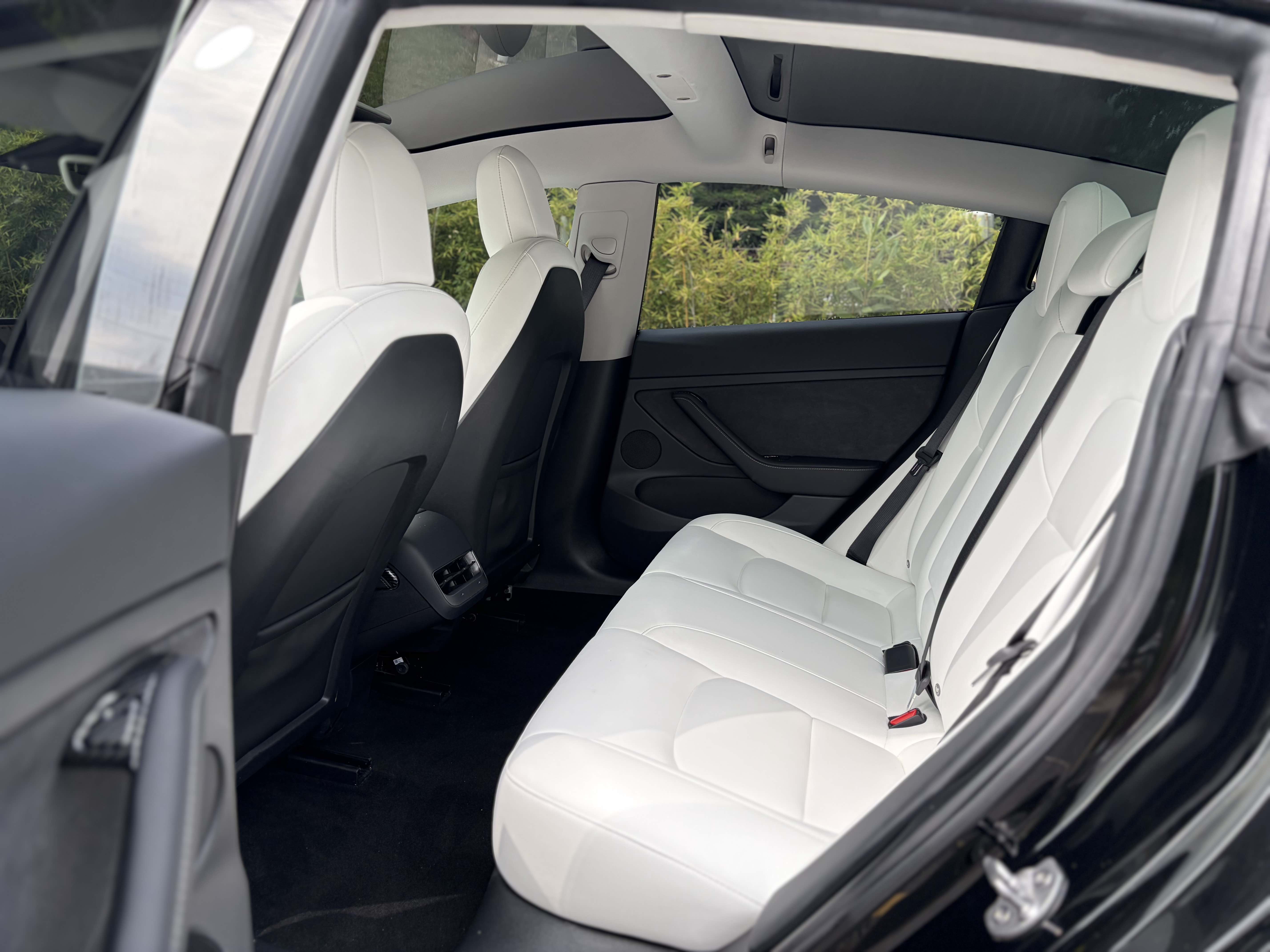 Tesla Model 3 2021 #6 Tesla Model 3 2021 car image #6