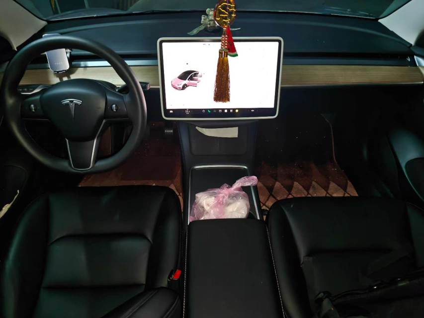 Tesla Model 3 2023 #6 Tesla Model 3 2023 car image #6