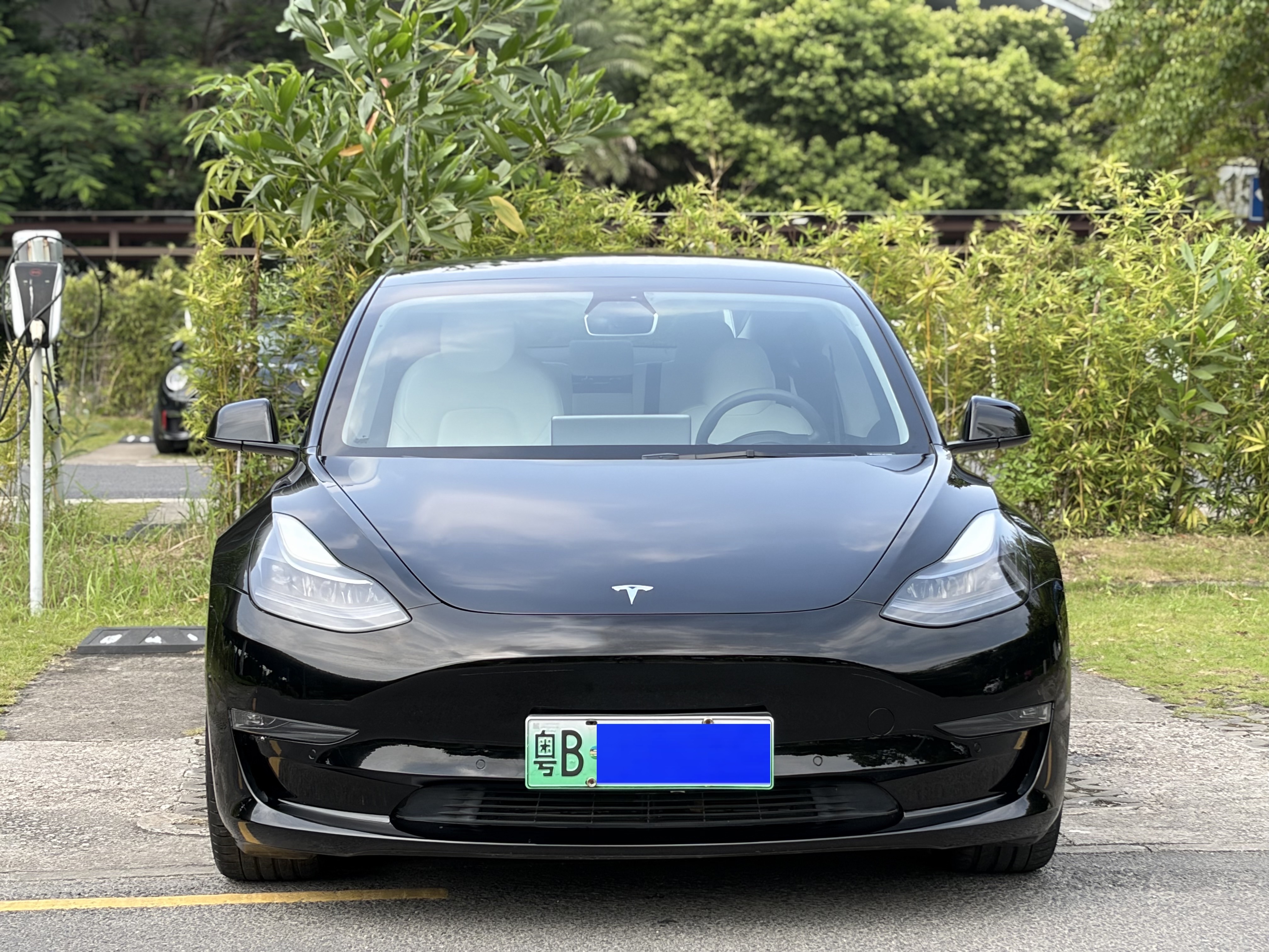 Tesla Model 3 2021 #4 Tesla Model 3 2021 car image #4