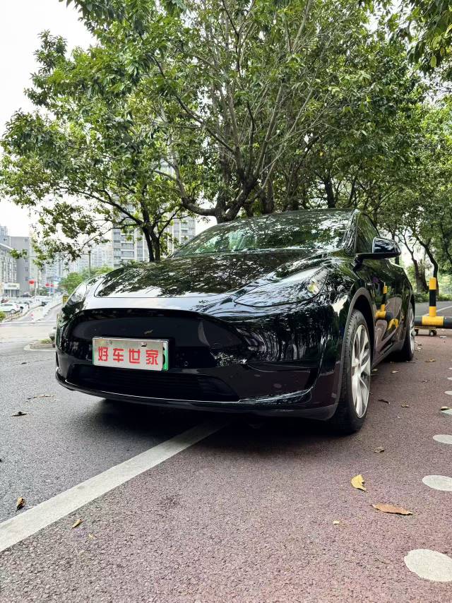 Tesla Model Y 2022 Tesla Model Y 2022 car image