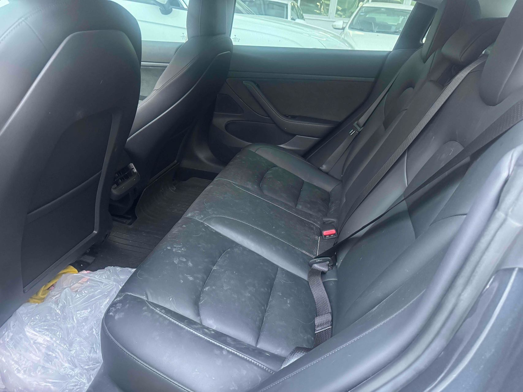 Tesla Model 3 2020 car image #7