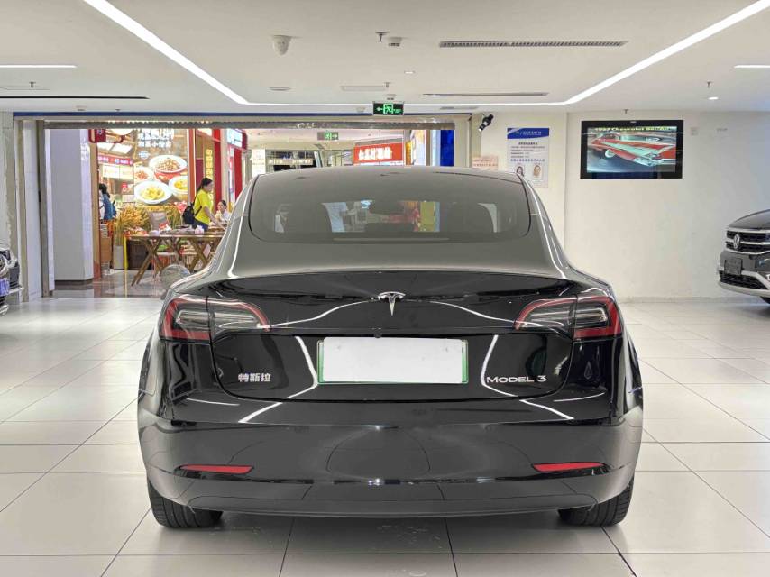 Tesla Model 3 2022 car image #10