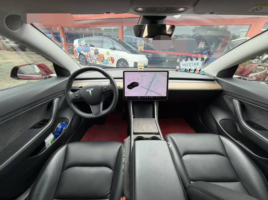Tesla Model 3 2020 car image #6