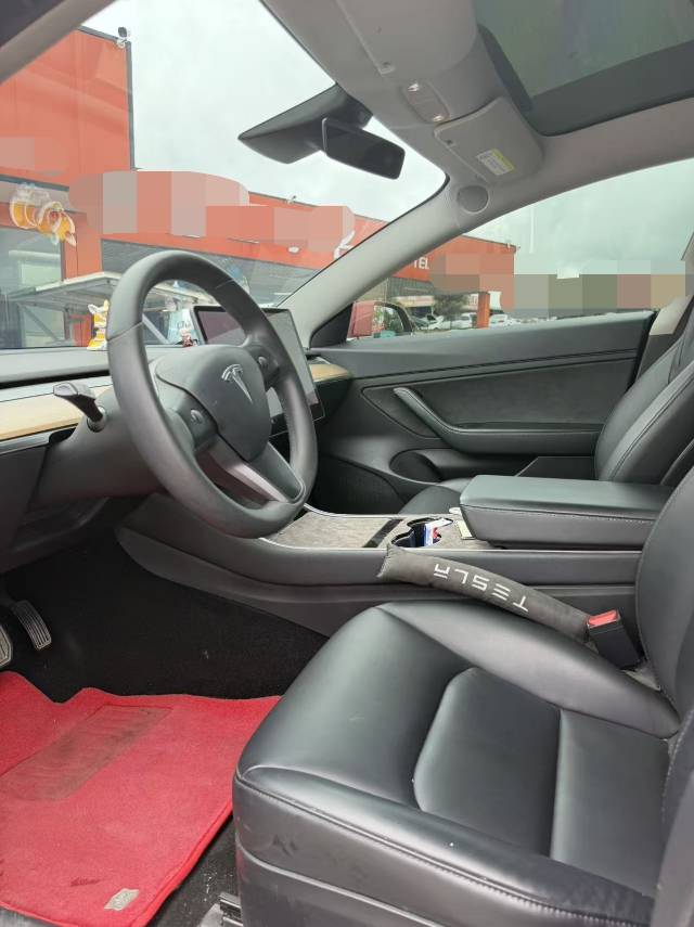 Tesla Model 3 2020 car image #8